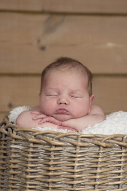婴儿取名-最新龙年新生婴儿起名的几个注意点
